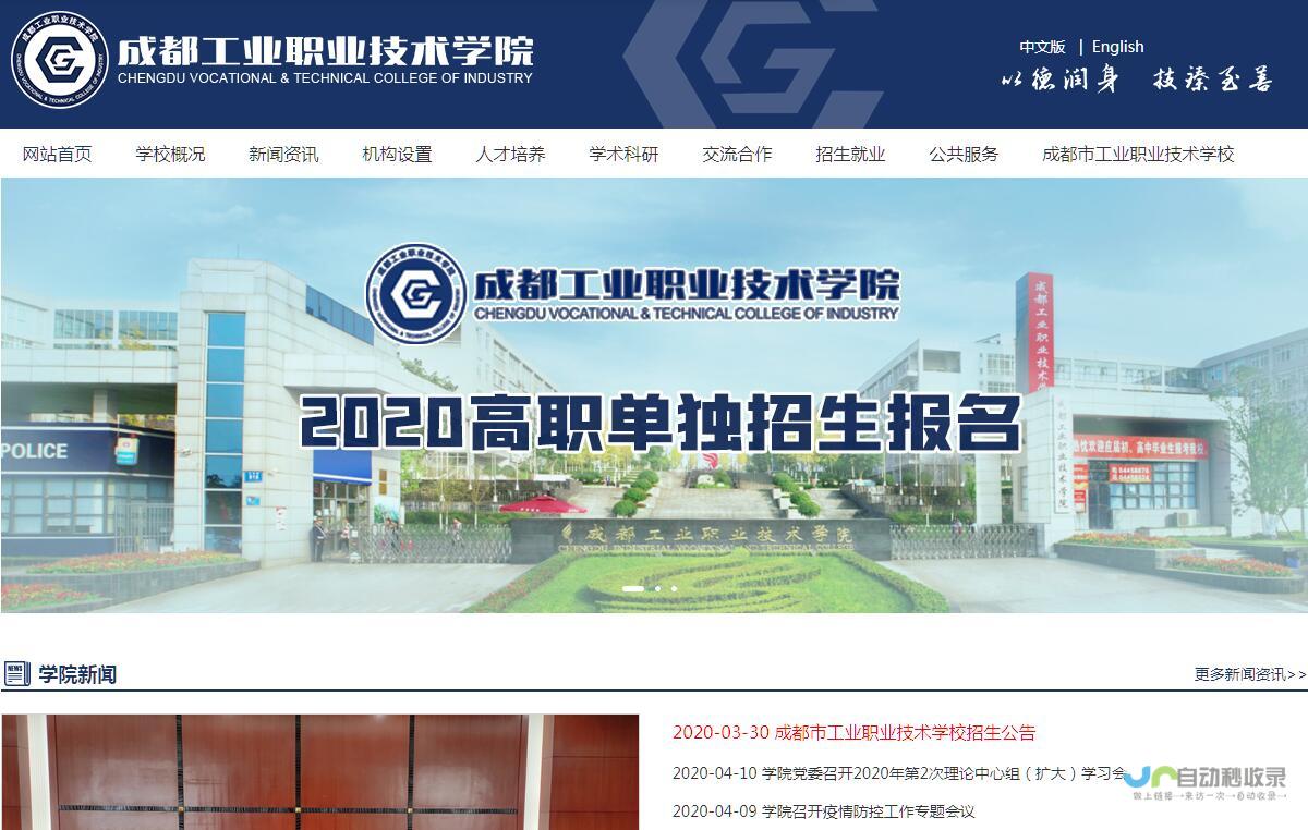 成都专业网站制作公司，定制化网站解决方案，助力企业数字化转型