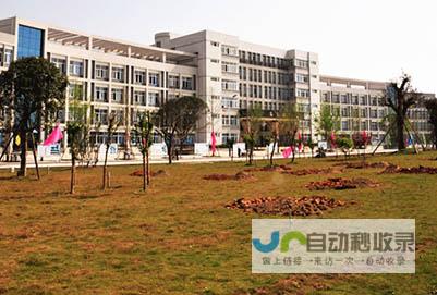 南充专业网站建设：打造您的企业线上形象，提升品牌价值