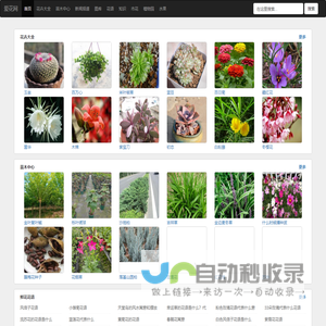 花卉_花卉绿植_花卉大全-爱花网